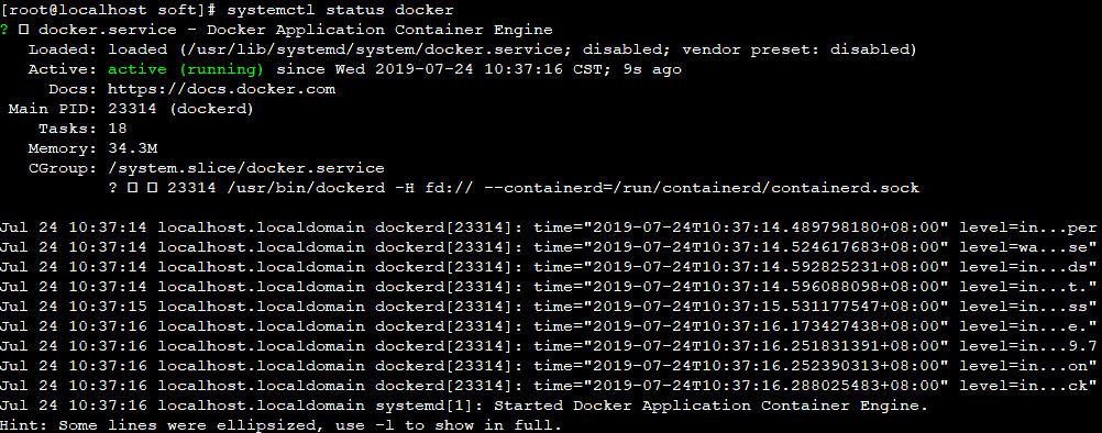 docker 启动成功
